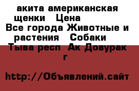 акита американская.щенки › Цена ­ 75 000 - Все города Животные и растения » Собаки   . Тыва респ.,Ак-Довурак г.